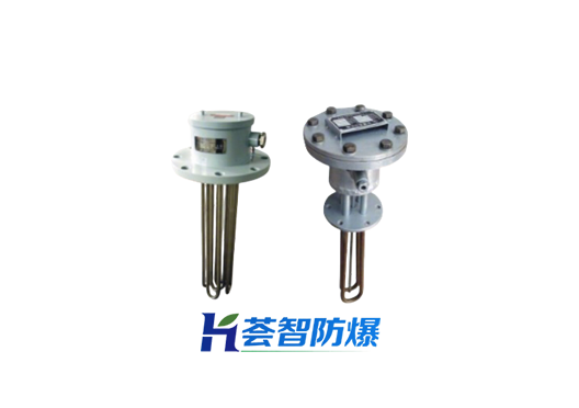 BGY防爆電熱器（可定制）